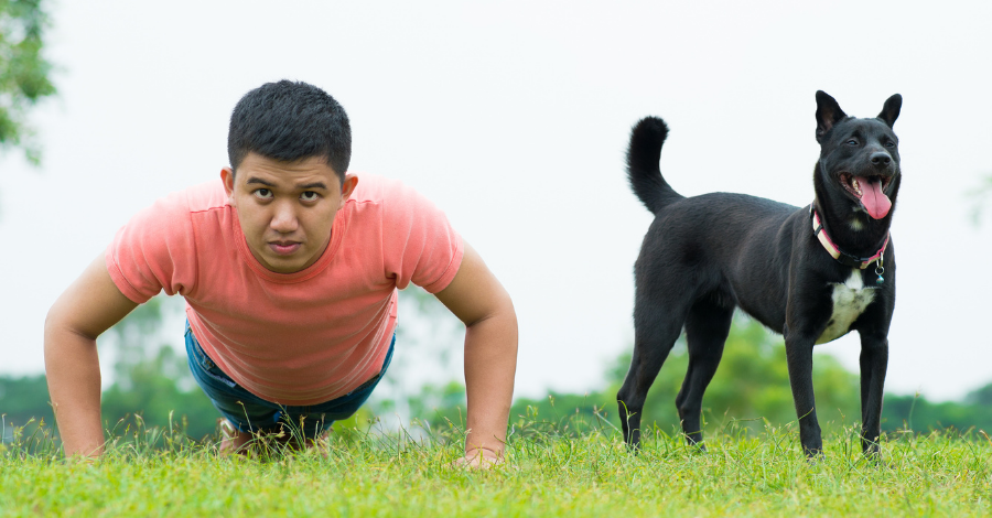 Cães contribuem para uma vida mais saudável!