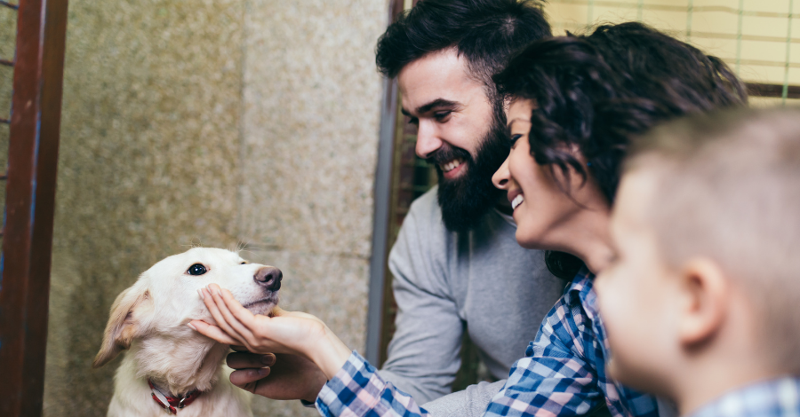 Adoção de cachorro é um lindo gesto de amor!