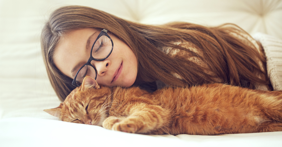 Gatos amam dormir com os seus donos!